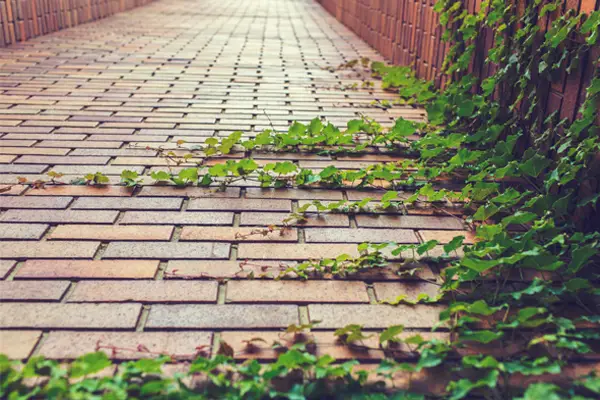 We want the path to our goals and dreams to be a straight and unimpeded path
