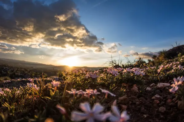 sunrise