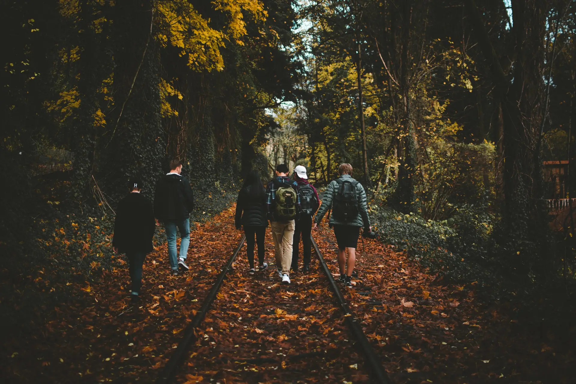 Group of teenagers walking in a fall landscape.